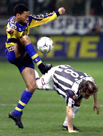 全网都在玩的顶流肥鸽来袭！《玩到爽飞》正式上线华为小游戏